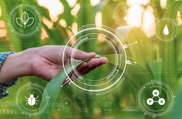 Quality inspection of products